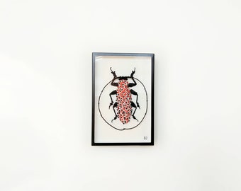 Marcelae Peritrox Lamarck (c) Insect Embroidery (c)  Entomology Curiosity Cabinet Modern Embroidery (c) Art Textile