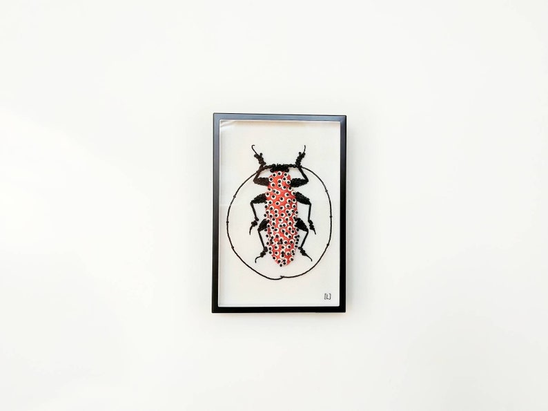 Marcelae Peritrox Lamarck c Insect Embroidery c Entomology Curiosity Cabinet Modern Embroidery c Art Textile image 1