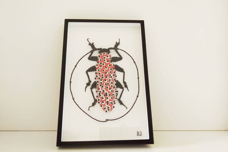 Marcelae Peritrox Lamarck c Insect Embroidery c Entomology Curiosity Cabinet Modern Embroidery c Art Textile image 3