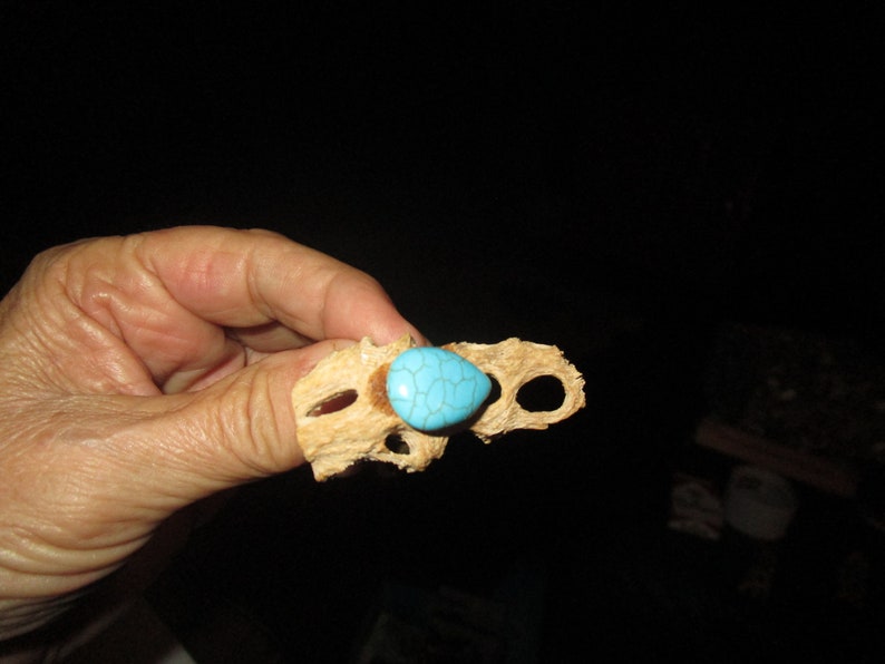 Handmade Cholla Cactus Wood Jewelry with Turquoise Teardrop Beads Necklace Earrings /& Ring Set