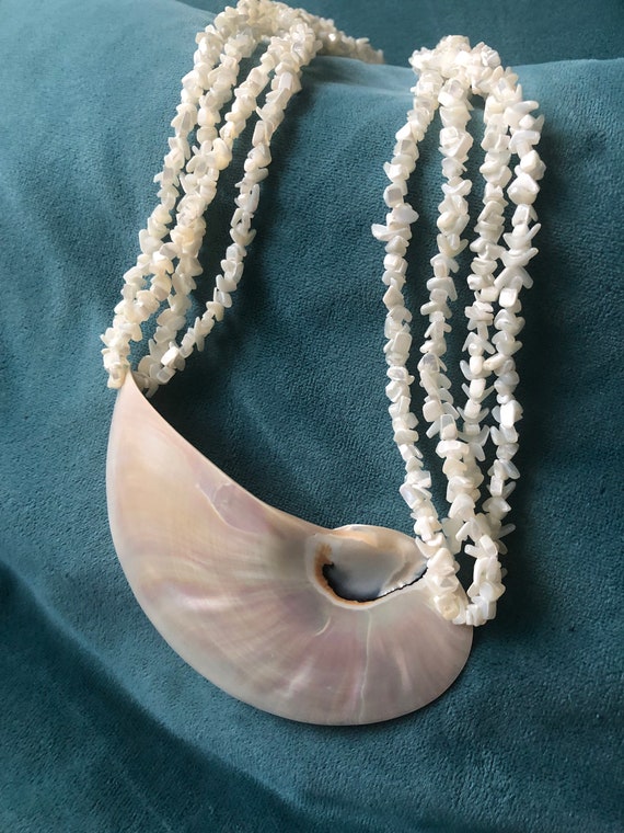 Gorgeous Stunning Polished Seashell Pendant Four … - image 5