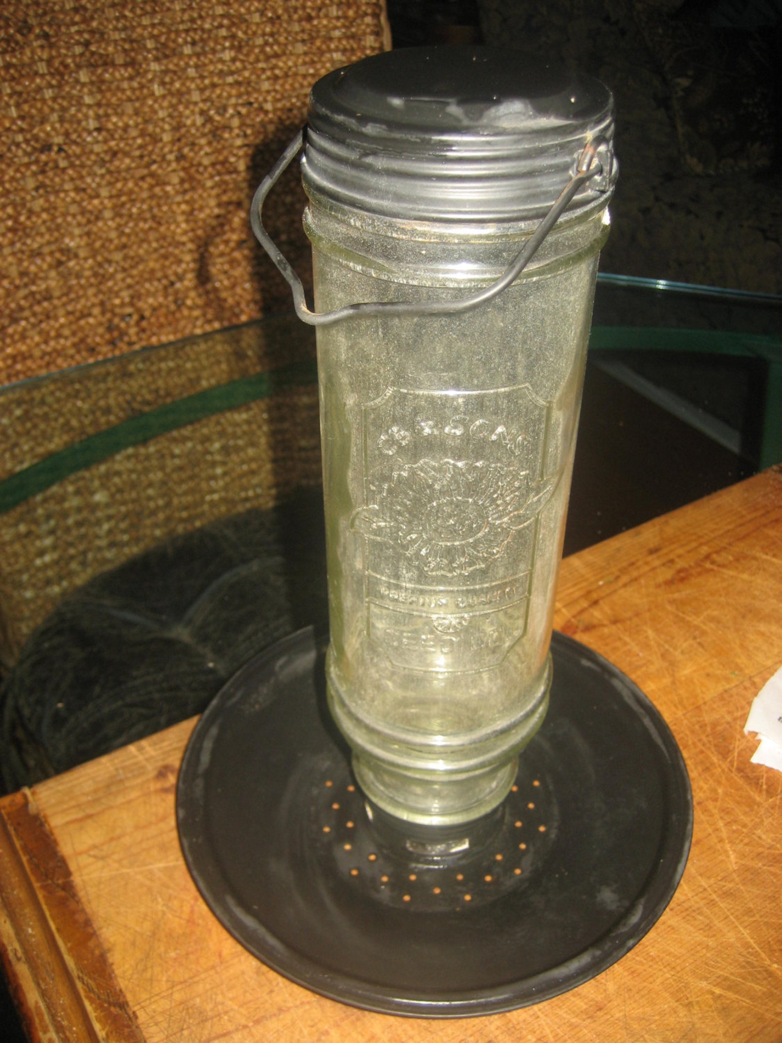 CB&Sons Seed Co. Metal/Glass Premium Quality Vintage Wild Bird Etsy