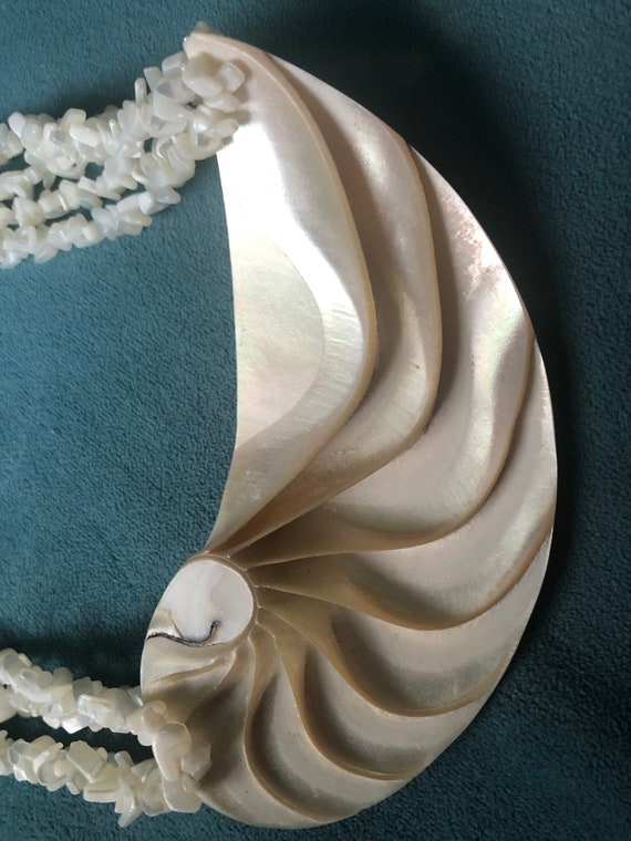 Gorgeous Stunning Polished Seashell Pendant Four … - image 10