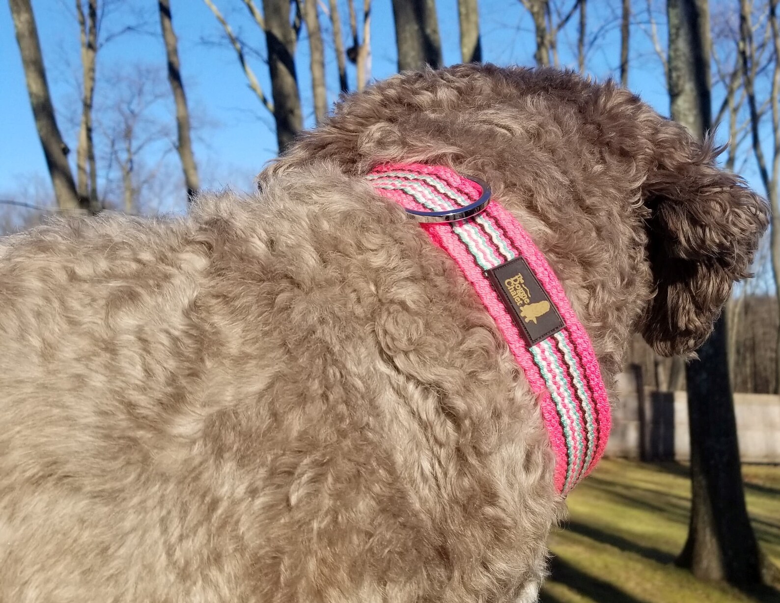 Handmade Ultra Soft Hypoallergenic Dog Collar green orange Etsy