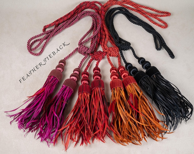 Modern Double Feather Rayon  Tieback Holdback For Curtains and Drapes