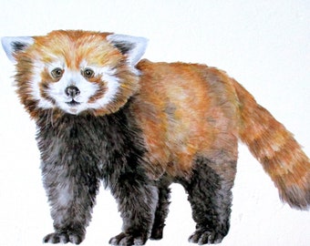 Red Panda Sticker Wildlife Wall Stickers Red Panda Print Etsy