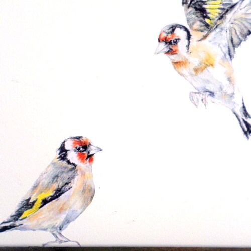 Wall Sticker Goldfinches PAIR Bird Decor Bird Gifts Etsy UK