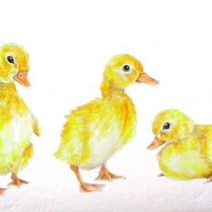 Yellow ducklings, duckling wall stickers, baby ducks, duck decor, duck nursery art, yellow ducks, duck decals, duck gifts, duck decorations