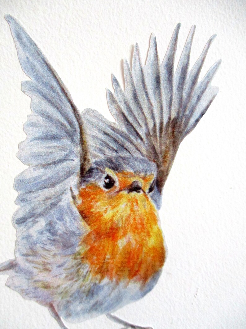 Robin wall decals robin decor Christmas gift bird lover Etsy