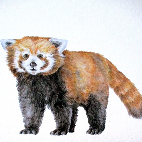 Red Panda Sticker Wildlife Wall Stickers Red Panda Print Etsy