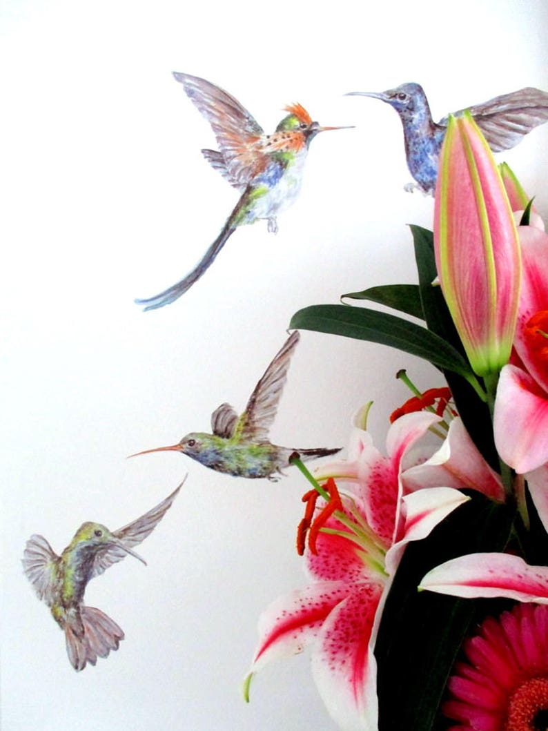 Hummingbird Wall Stickers Humming Bird Wall Decals Gift for Etsy UK