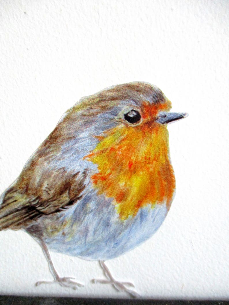 Robin wall decals robin decor Christmas gift bird lover Etsy