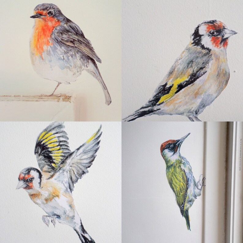 Woodland Bird Wall Stickers Set Of 4 British Decor Decals Wallpaper Wildlife Home