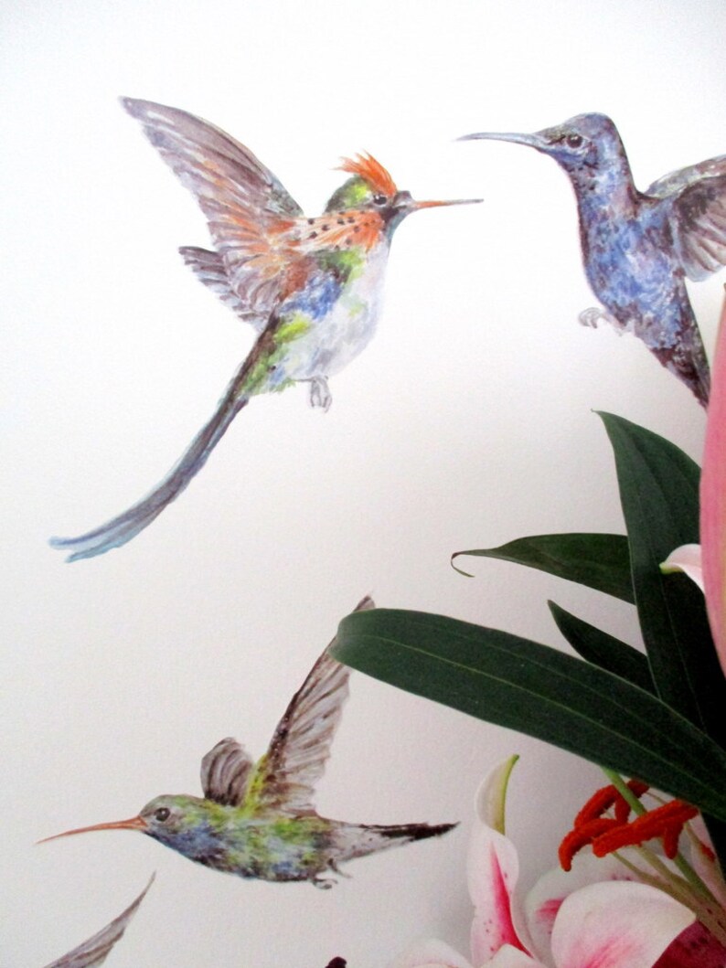 Hummingbird Wall Stickers Humming Bird Wall Decals Gift for Etsy UK