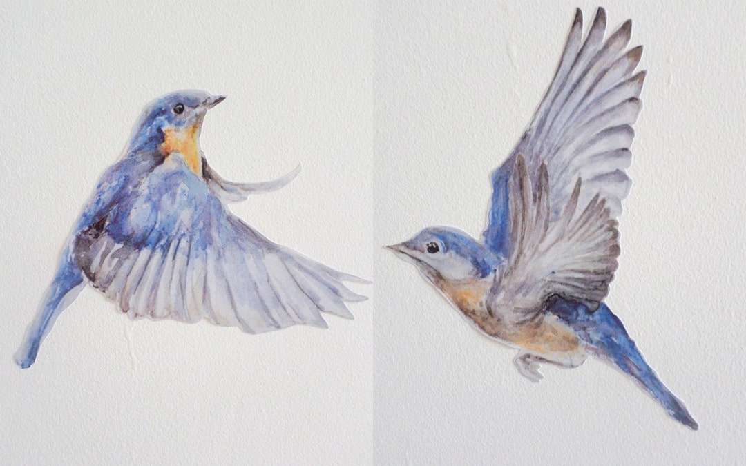 Bird Wall Stickers Eastern Bluebird Bird Decals PAIR Etsy UK