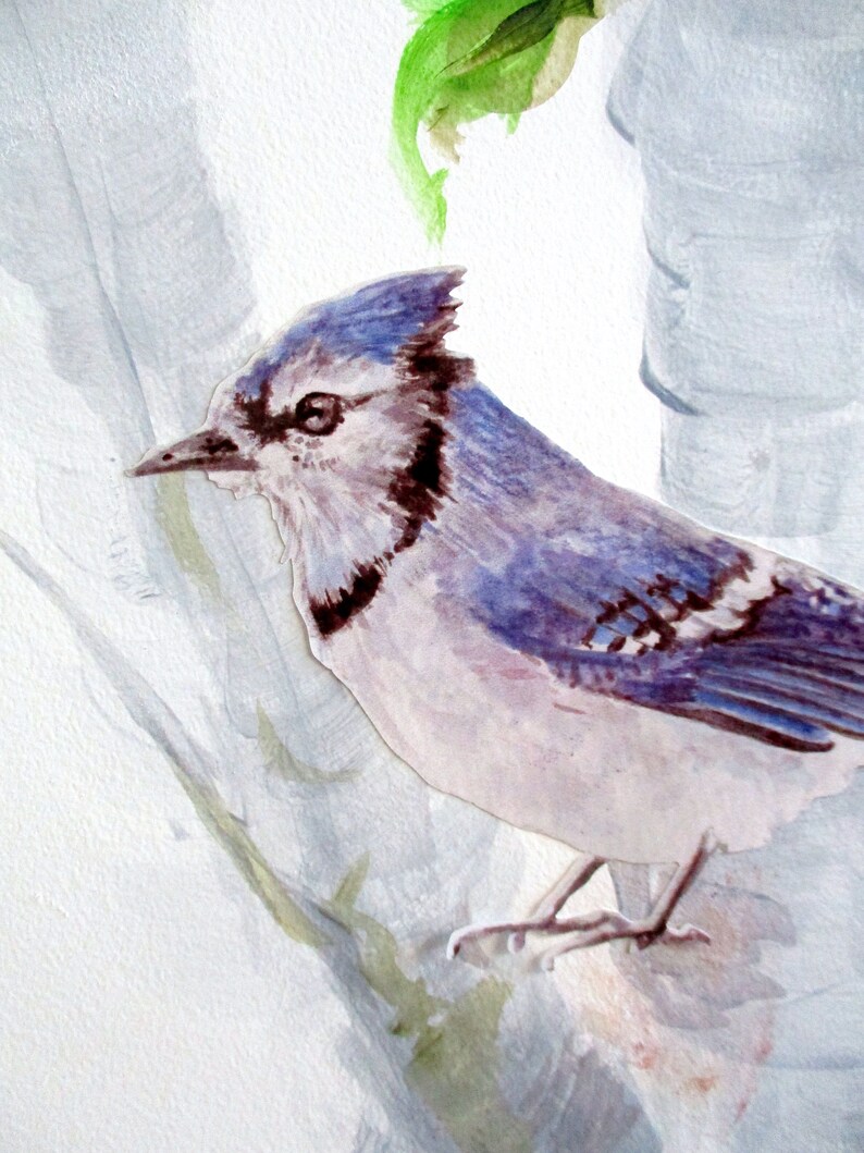 Blue jay wall sticker bird decal blue jays jay wall decor Etsy