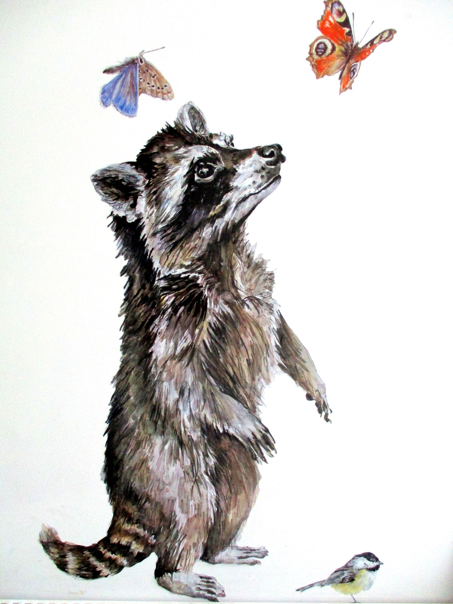 Raccoon Wall Sticker Raccoon Wall Decal Woodland Nursery Etsy