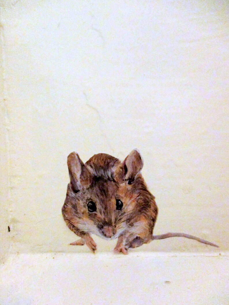 Wall Sticker Mice Mouse Home Decor House Mice Decals Mouse Etsy