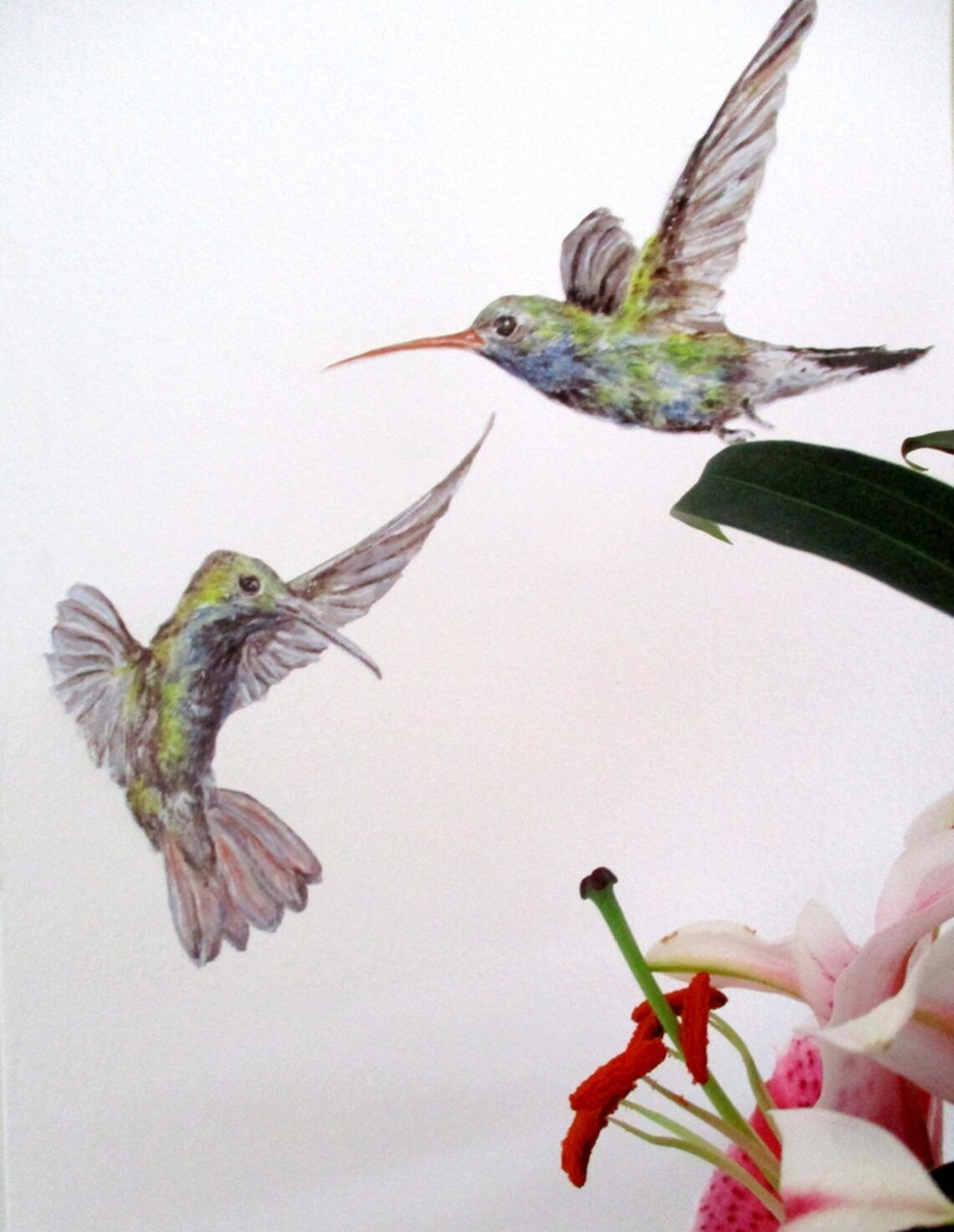 Hummingbird Wall Stickers Humming Bird Wall Decals Gift for Etsy Canada
