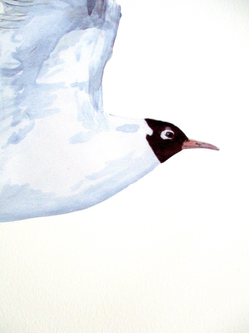 Sea Bird Wall Decals Gull Wall Stickers Bathroom Decor Etsy