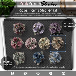 Pflanzenaufkleber | Vorgeschnittenes Png | Goodnotes-Aufkleber | Rose Pflanzen | Planner Clipart | Digitale Clipart | GoodNotes | Verliebt in Dich