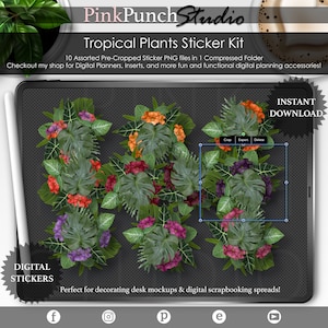 Tequila Sunrise | Pflanzenaufkleber | Vorgeschnittenes Png | Goodnotes Planer Aufkleber | Pflanzen | Planner Clipart | Tropisch Clipart | GoodNotes