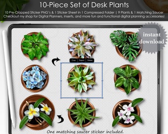 Copper Potted Desk Plants Saucer Top View Digital Planner Planning Precropped Transparent PNG Files Scrapbooking ClipArt Stickers Mockup