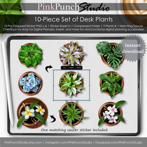 Copper Potted Desk Plants Saucer Top View Digital Planner Etsy