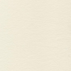 Pina Colada Ivory Cotton Fabric by the Yard, Cream Fabric High Quality Fabric Riley Blake Designs, Off White Material