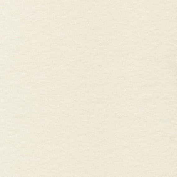 Pina Colada Ivory Cotton Fabric by the Yard, Cream Fabric High Quality Fabric Riley Blake Designs, Off White Material