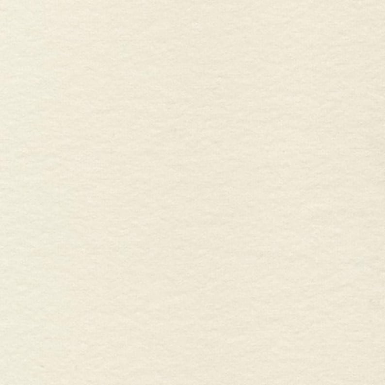 Pina Colada Ivory Cotton Fabric by the Yard, Cream Fabric High Quality Fabric Riley Blake Designs, Off White Material
