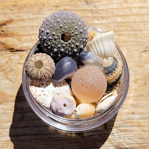 Sea Breeze Beach Cups | English and Japanese Sea Glass Marble, Ohajiki, Sea Bead and Shell Mix S/10