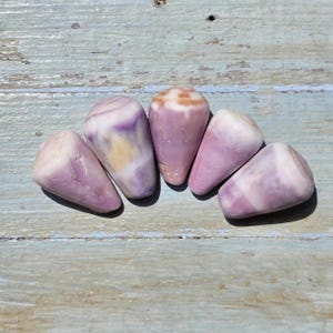May include: Five polished cone-shaped seashells arranged in a semi-circle. The shells feature smooth surfaces with varying shades of lavender, purple, and white, with one shell displaying a distinct tan and white patterned top section.
