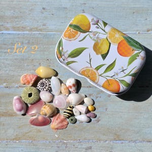 May include: A rectangular metal tin featuring a white background with a colourful pattern of oranges, lemons, and green leaves, accompanied by a collection of various small seashells in shades of pink, white, brown, and black, labelled as Set 2.