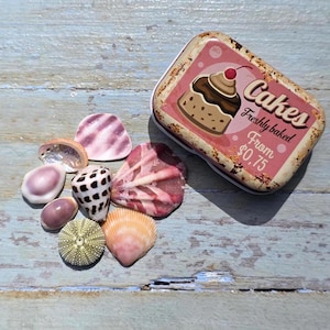 May include: A rectangular metal tin featuring a graphic of a cupcake and the text "Cakes Freshly baked From $0.75" alongside a collection of various seashells, including a spotted cone shell, a sea urchin, and several smooth pink and white shells.