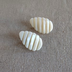 Peut inclure: Deux pinces à cheveux en forme de coquille, de couleur blanche nacrée, avec un motif strié.