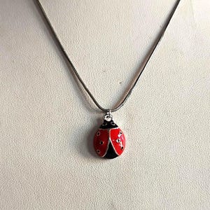 Puede incluir: Un collar plateado con un colgante de mariquita. El colgante es rojo con detalles negros y pequeños puntos negros redondos. La mariquita está unida a una fina cadena plateada, creando un diseño sencillo y elegante.