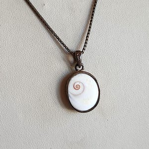 Op de afbeelding: Zilverkleurige ketting met een ronde hanger. De hanger heeft een witte schelp met een bruin spiraalpatroon, gezet in een zilveren frame. De ketting is fijn en zilverkleurig. Het ontwerp van de hanger is gecentreerd.