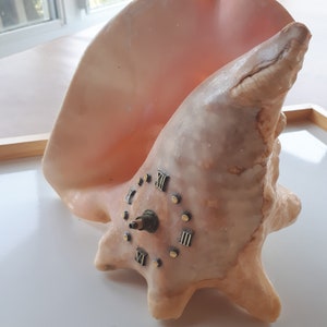 Peut inclure: Une horloge en forme de coquille rose avec des chiffres romains et une aiguille dorée.