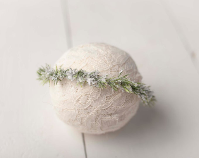 Frosted Greenery Halo Crown Tieback For Newborn and Sitter Baby Photography Photo Prop Headband