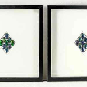 The Diamond Pair / Buprestidae Composition / Jewel Beetles / Coleoptera