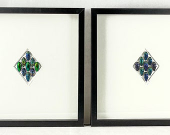 El par de diamantes / Composición de Buprestidae / Escarabajos joya / Coleópteros