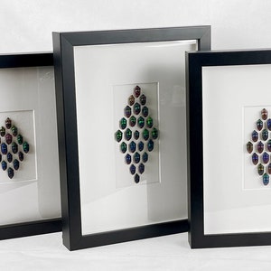 Puede incluir: Tres imágenes enmarcadas en negro con paspartús blancos y una disposición en forma de diamante de escarabajos iridiscentes verdes, azules y morados dentro de cada marco.
