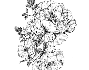 Peonies Hand Drawn Printable Digital Download File