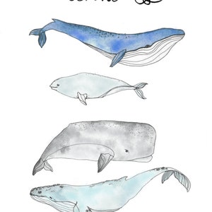 Whales Watercolor Printable Digital Download File