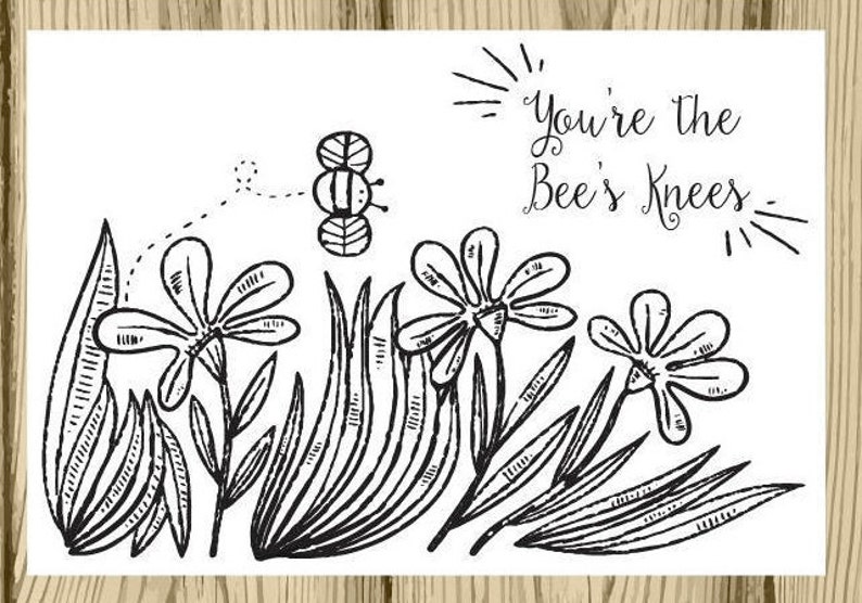 Study Break Greek Sorority Recruitment Bid Day Reveal Back to School Big Little Gift Kappa Alpha Theta Coloring Notecards