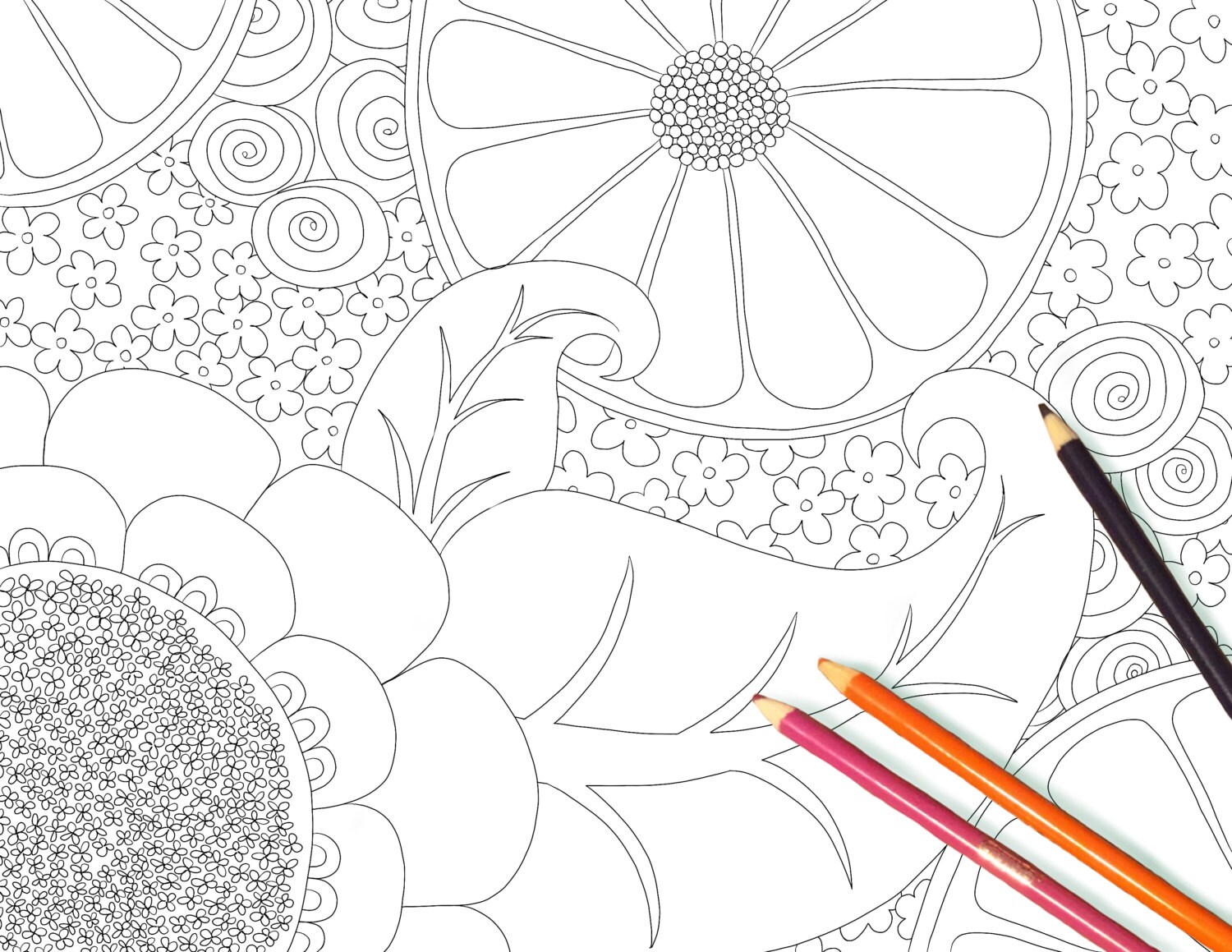 Full Bloom Coloring Pages - Etsy