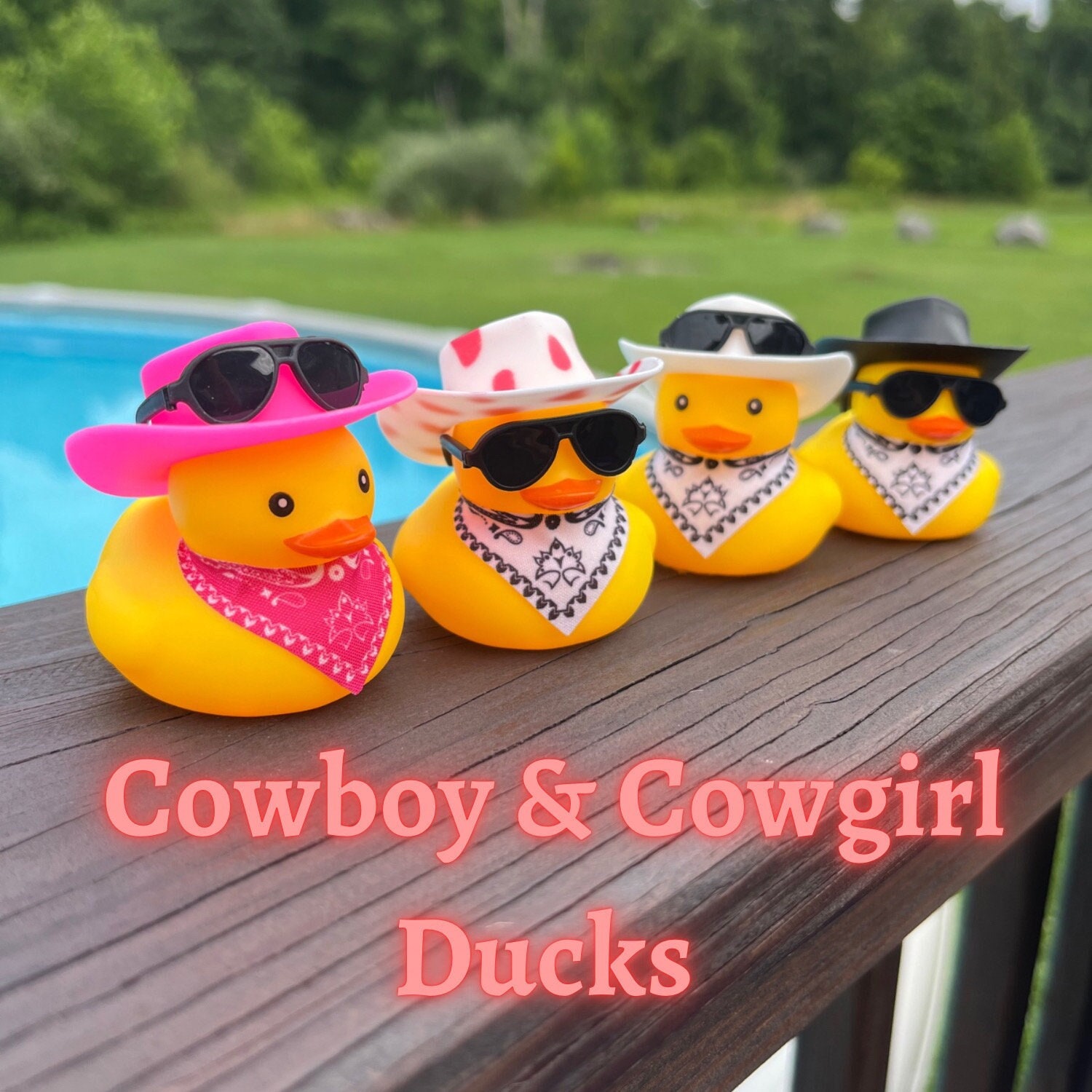 Cowboy Hat Themed Yellow Rubber Duck Ducks - Pink Brown