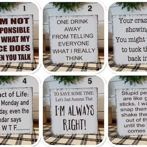 Sarcastic Shelf Sitter Sign, Hilarious Office desk signs, Co-worker Gift