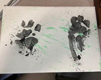 African Crested Porcupine Prints